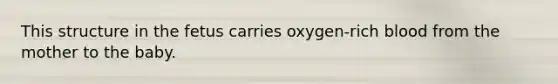 This structure in the fetus carries oxygen-rich blood from the mother to the baby.