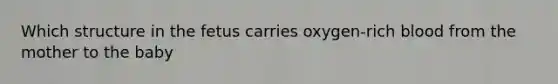 Which structure in the fetus carries oxygen-rich blood from the mother to the baby
