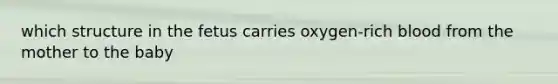 which structure in the fetus carries oxygen-rich blood from the mother to the baby