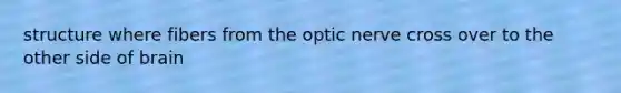 structure where fibers from the optic nerve cross over to the other side of brain