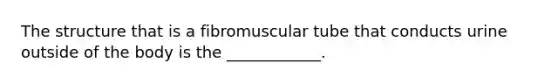 The structure that is a fibromuscular tube that conducts urine outside of the body is the ____________.