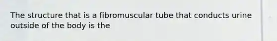 The structure that is a fibromuscular tube that conducts urine outside of the body is the