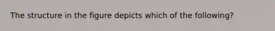 The structure in the figure depicts which of the following?