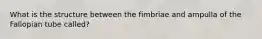 What is the structure between the fimbriae and ampulla of the Fallopian tube called?