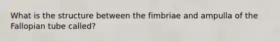 What is the structure between the fimbriae and ampulla of the Fallopian tube called?