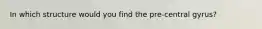 In which structure would you find the pre-central gyrus?