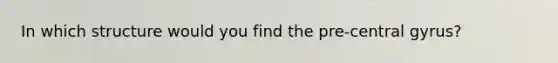 In which structure would you find the pre-central gyrus?