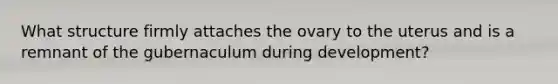 What structure firmly attaches the ovary to the uterus and is a remnant of the gubernaculum during development?