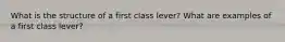 What is the structure of a first class lever? What are examples of a first class lever?