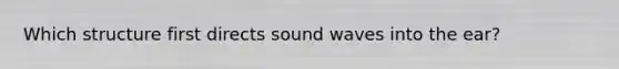 Which structure first directs sound waves into the ear?