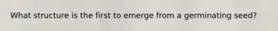 What structure is the first to emerge from a germinating seed?