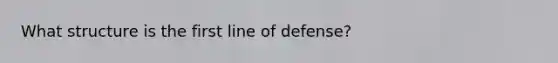 What structure is the first line of defense?