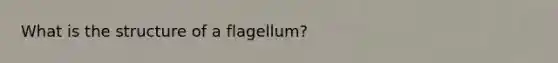 What is the structure of a flagellum?