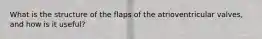 What is the structure of the flaps of the atrioventricular valves, and how is it useful?