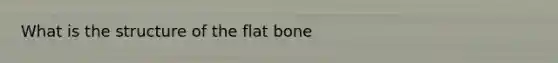 What is the structure of the flat bone