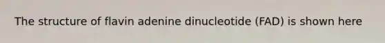 The structure of flavin adenine dinucleotide (FAD) is shown here