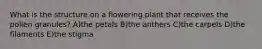 What is the structure on a flowering plant that receives the pollen granules? A)the petals B)the anthers C)the carpels D)the filaments E)the stigma