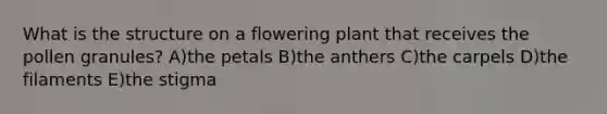 What is the structure on a flowering plant that receives the pollen granules? A)the petals B)the anthers C)the carpels D)the filaments E)the stigma