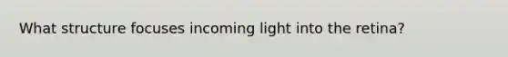 What structure focuses incoming light into the retina?