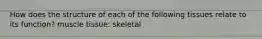 How does the structure of each of the following tissues relate to its function? muscle tissue: skeletal