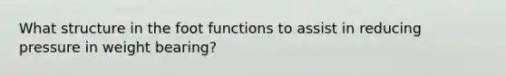 What structure in the foot functions to assist in reducing pressure in weight bearing?