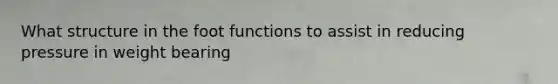 What structure in the foot functions to assist in reducing pressure in weight bearing