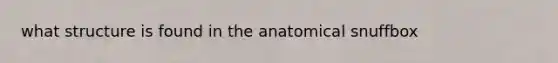 what structure is found in the anatomical snuffbox