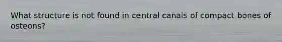 What structure is not found in central canals of compact bones of osteons?