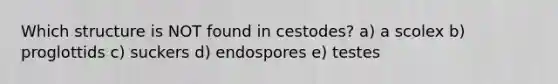 Which structure is NOT found in cestodes? a) a scolex b) proglottids c) suckers d) endospores e) testes