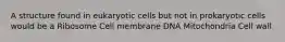 A structure found in eukaryotic cells but not in prokaryotic cells would be a Ribosome Cell membrane DNA Mitochondria Cell wall