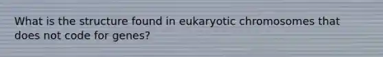 What is the structure found in eukaryotic chromosomes that does not code for genes?