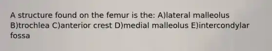 A structure found on the femur is the: A)lateral malleolus B)trochlea C)anterior crest D)medial malleolus E)intercondylar fossa