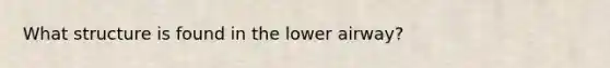 What structure is found in the lower airway?