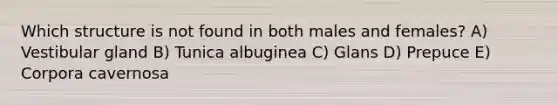 Which structure is not found in both males and females? A) Vestibular gland B) Tunica albuginea C) Glans D) Prepuce E) Corpora cavernosa