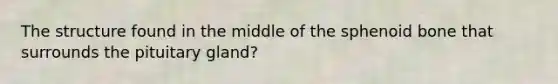 The structure found in the middle of the sphenoid bone that surrounds the pituitary gland?