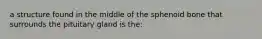 a structure found in the middle of the sphenoid bone that surrounds the pituitary gland is the: