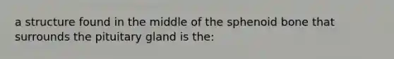 a structure found in the middle of the sphenoid bone that surrounds the pituitary gland is the: