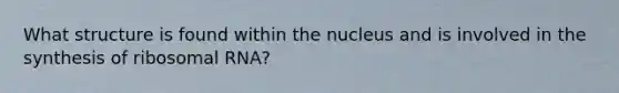 What structure is found within the nucleus and is involved in the synthesis of ribosomal RNA?