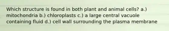 Which structure is found in both plant and animal cells? a.) mitochondria b.) chloroplasts c.) a large central vacuole containing fluid d.) cell wall surrounding the plasma membrane