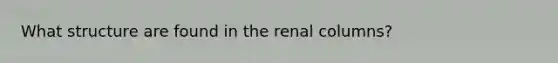 What structure are found in the renal columns?