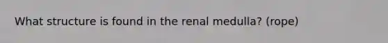 What structure is found in the renal medulla? (rope)