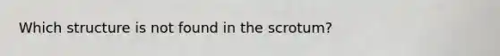 Which structure is not found in the scrotum?