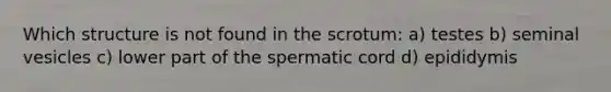 Which structure is not found in the scrotum: a) testes b) seminal vesicles c) lower part of the spermatic cord d) epididymis