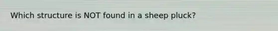 Which structure is NOT found in a sheep pluck?