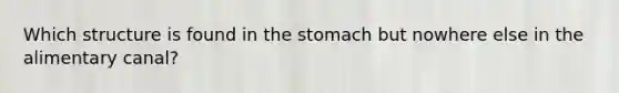 Which structure is found in the stomach but nowhere else in the alimentary canal?