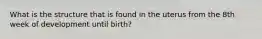 What is the structure that is found in the uterus from the 8th week of development until birth?