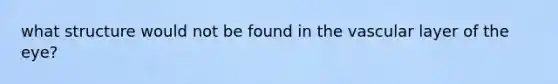 what structure would not be found in the vascular layer of the eye?