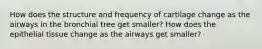 How does the structure and frequency of cartilage change as the airways in the bronchial tree get smaller? How does the epithelial tissue change as the airways get smaller?