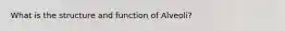 What is the structure and function of Alveoli?