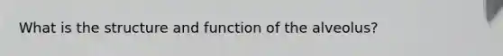 What is the structure and function of the alveolus?